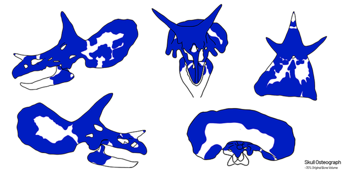 Skull Osteopraphy Map