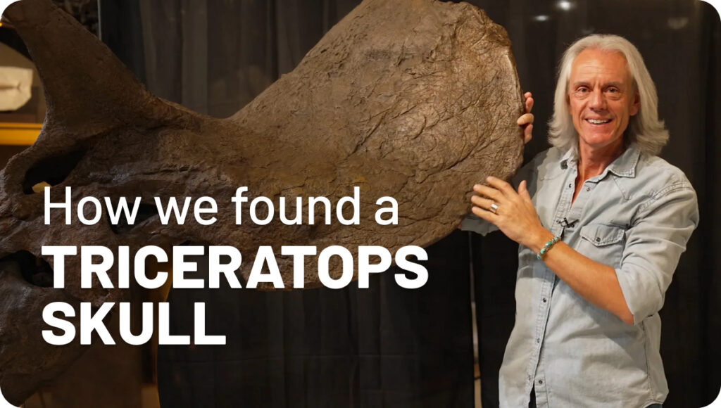 How we found a Triceratops Skull