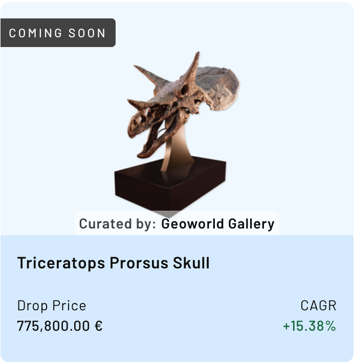 The Triceratops Prorsus Skull asset on Timeless app.